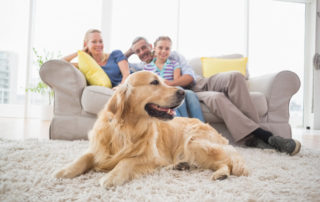 A happy family on a couch with a dog in front of them on a rug