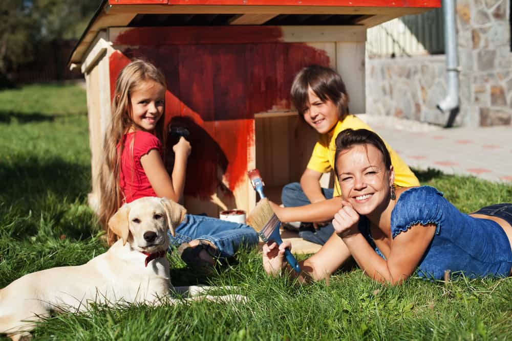 How to Build an Outdoor Dog House With Air Conditioning