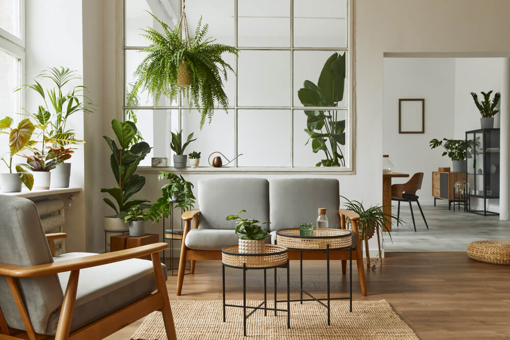 Modern Scandinavian Interior of Living Room With a Lot of Plants