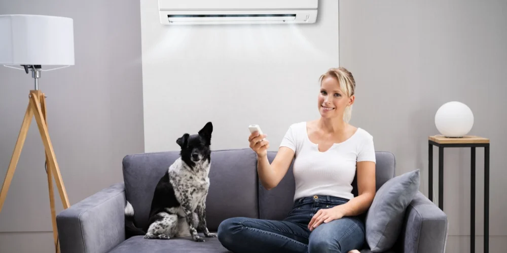 A woman sits on a couch with a dog beside her | Chills AC Woman on a gray sofa holding a TV remote, with a black-and-white dog beside her in a modern living room under an air conditioner.